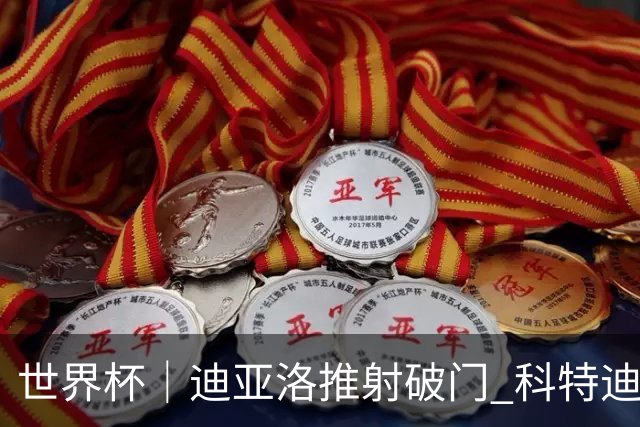 世界杯｜迪亚洛推射破门 科特迪瓦队绝杀厄瓜多尔队